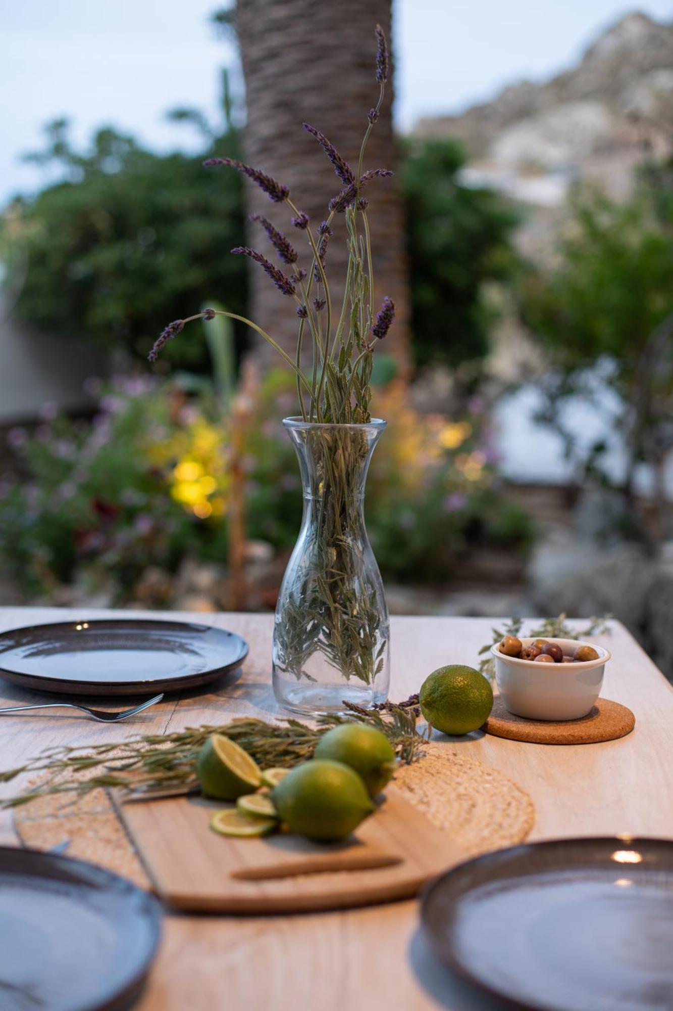 Levantes House Mykonos Ано Мера Экстерьер фото